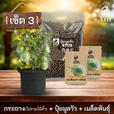 ชุดพร้อมปลูกมะเขือเปราะยักษ์ครบวงจร - กระถางผ้าระบายอากาศ + ปุ๋ยมูลวัวอัดเม็ด 1 กก. + เมล็ดพันธุ์ 2 ซอง