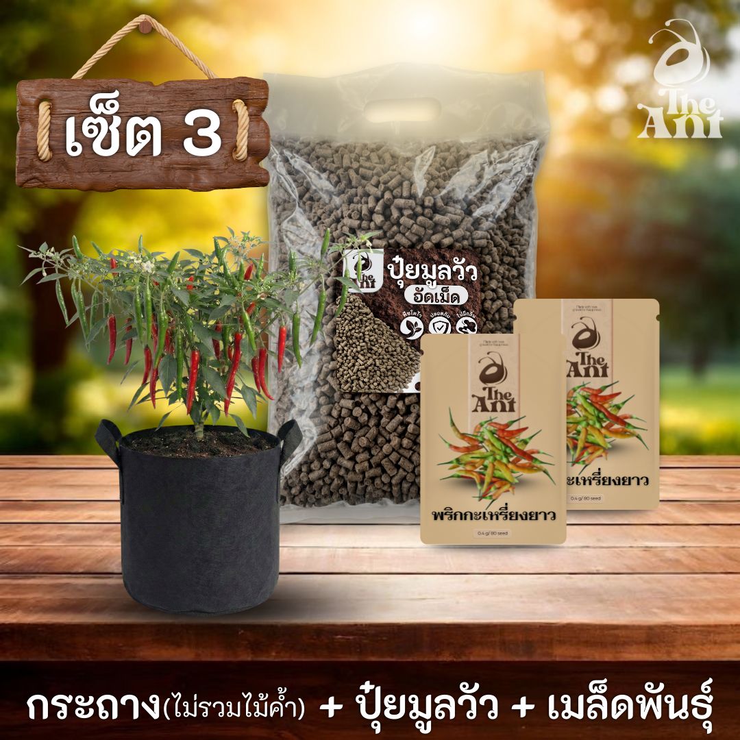 ชุดพร้อมปลูกพริกกระเหรี่ยงยาวครบวงจร - กระถางผ้าระบายอากาศ + ปุ๋ยมูลวัวอัดเม็ด 1 กก. + เมล็ดพันธุ์ 2 ซอง