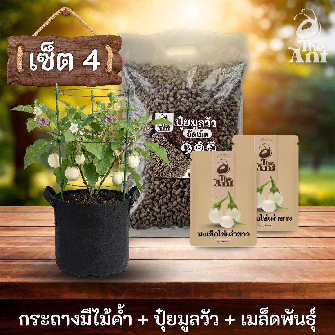 ชุดปลูกมะเขือไข่เต่าขาวพรีเมี่ยม  กระถางผ้าพร้อมไม้ค้ำสำเร็จรูป + ปุ๋ยมูลวัวอัดเม็ด 1 กก. + เมล็ดพันธุ์ 2 ซอง