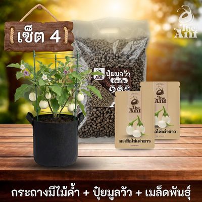 ชุดปลูกมะเขือไข่เต่าขาวพรีเมี่ยม  กระถางผ้าพร้อมไม้ค้ำสำเร็จรูป + ปุ๋ยมูลวัวอัดเม็ด 1 กก. + เมล็ดพันธุ์ 2 ซอง