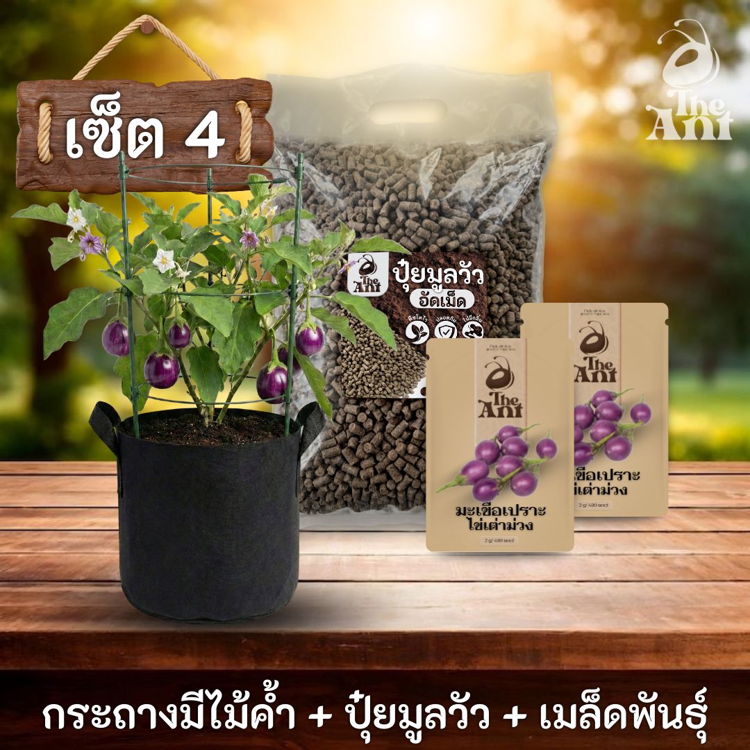 ชุดปลูกมะเขือเปราะไข่เต่าสีม่วงพรีเมี่ยม  กระถางผ้าพร้อมไม้ค้ำสำเร็จรูป + ปุ๋ยมูลวัวอัดเม็ด 1 กก. + เมล็ดพันธุ์ 2 ซอง