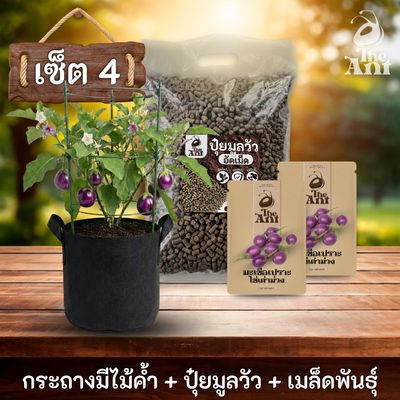 ชุดปลูกมะเขือเปราะไข่เต่าสีม่วงพรีเมี่ยม  กระถางผ้าพร้อมไม้ค้ำสำเร็จรูป + ปุ๋ยมูลวัวอัดเม็ด 1 กก. + เมล็ดพันธุ์ 2 ซอง
