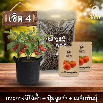 ชุดปลูกมะเขือเทศลูกท้อพรีเมี่ยม  กระถางผ้าพร้อมไม้ค้ำสำเร็จรูป + ปุ๋ยมูลวัวอัดเม็ด 1 กก. + เมล็ดพันธุ์ 2 ซอง