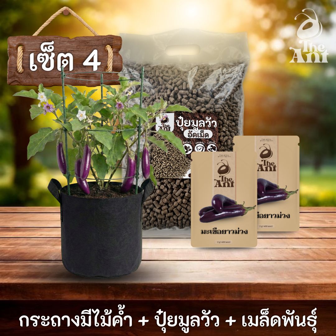 ชุดปลูกมะเขือยาวสีม่วงพรีเมี่ยม  กระถางผ้าพร้อมไม้ค้ำสำเร็จรูป + ปุ๋ยมูลวัวอัดเม็ด 1 กก. + เมล็ดพันธุ์ 2 ซอง
