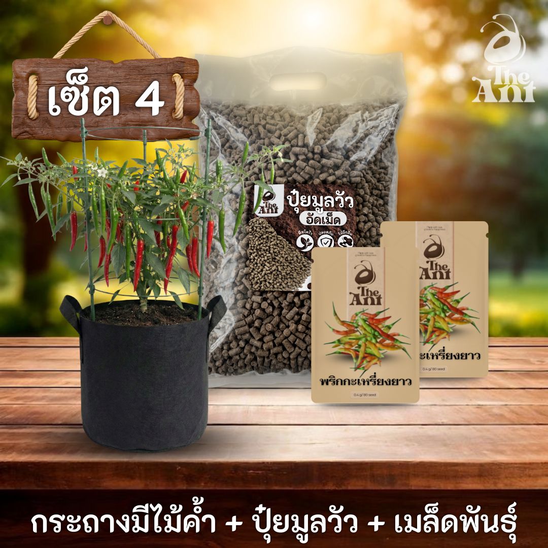 ชุดปลูกพริกกะเหรี่ยงยาวพรีเมี่ยม  กระถางผ้าพร้อมไม้ค้ำสำเร็จรูป + ปุ๋ยมูลวัวอัดเม็ด 1 กก. + เมล็ดพันธุ์ 2 ซอง