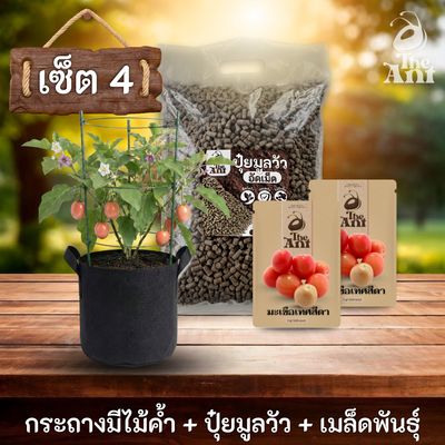 ชุดปลูกมะเขือเทศสีดาพรีเมี่ยม  กระถางผ้าพร้อมไม้ค้ำสำเร็จรูป + ปุ๋ยมูลวัวอัดเม็ด 1 กก. + เมล็ดพันธุ์ 2 ซอง