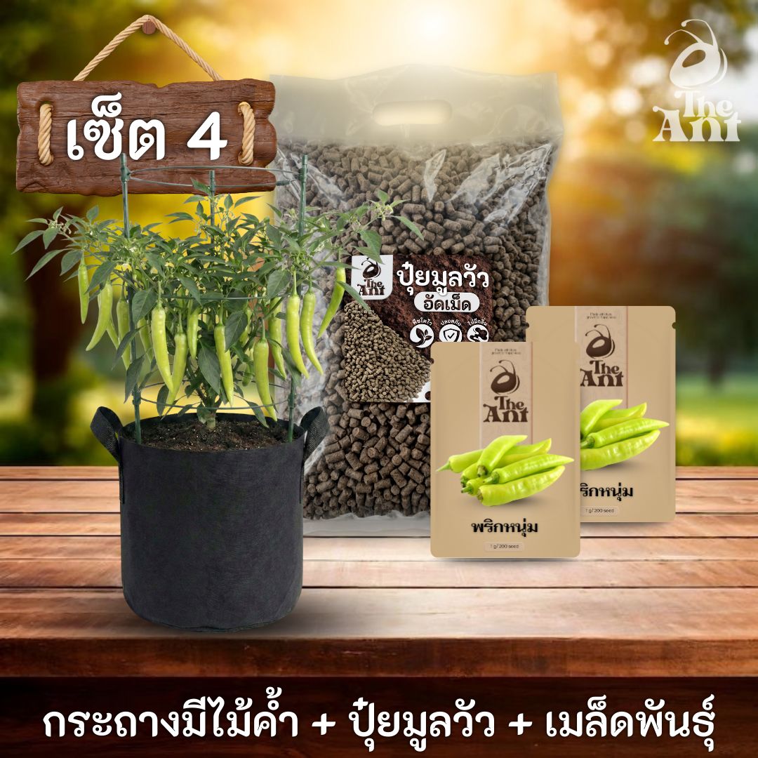 ชุดปลูกพริกหนุ่มพรีเมี่ยม  กระถางผ้าพร้อมไม้ค้ำสำเร็จรูป + ปุ๋ยมูลวัวอัดเม็ด 1 กก. + เมล็ดพันธุ์ 2 ซอง