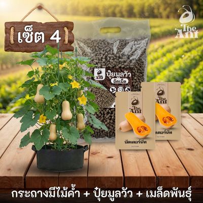 ชุดปลูกบัตเตอร์นัทพรีเมี่ยม  กระถางผ้าพร้อมไม้ค้ำสำเร็จรูป + ปุ๋ยมูลวัวอัดเม็ด 1 กก. + เมล็ดพันธุ์ 2 ซอง