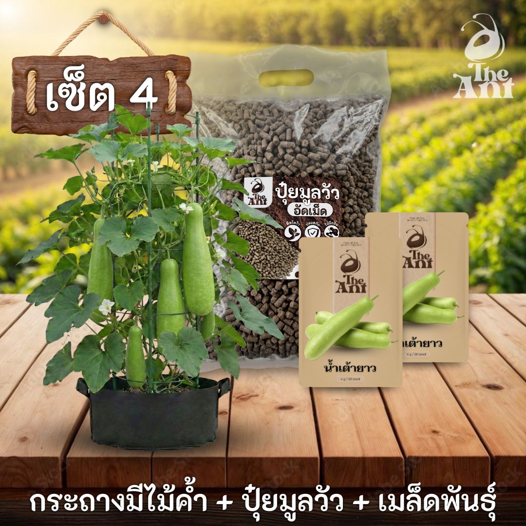 ชุดปลูกน้ำเต้ายาวพรีเมี่ยม  กระถางผ้าพร้อมไม้ค้ำสำเร็จรูป + ปุ๋ยมูลวัวอัดเม็ด 1 กก. + เมล็ดพันธุ์ 2 ซอง