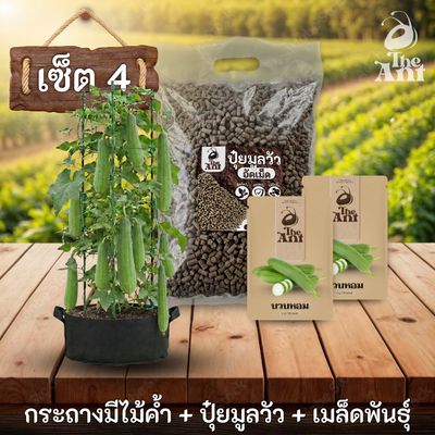 ชุดปลูกบวบหอมพรีเมี่ยม  กระถางผ้าพร้อมไม้ค้ำสำเร็จรูป + ปุ๋ยมูลวัวอัดเม็ด 1 กก. + เมล็ดพันธุ์ 2 ซอง