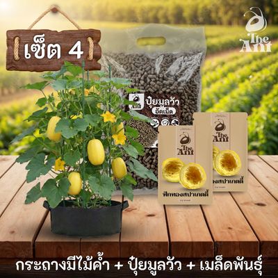 ชุดปลูกฟักทองสปาเกตตี้พรีเมี่ยม  กระถางผ้าพร้อมไม้ค้ำสำเร็จรูป + ปุ๋ยมูลวัวอัดเม็ด 1 กก. + เมล็ดพันธุ์ 2 ซอง