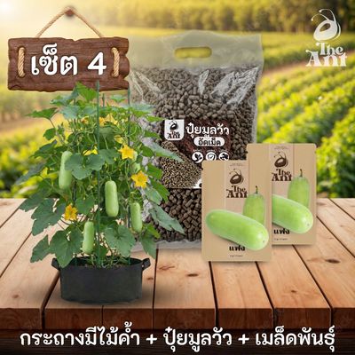 ชุดปลูกแฟงพรีเมี่ยม  กระถางผ้าพร้อมไม้ค้ำสำเร็จรูป + ปุ๋ยมูลวัวอัดเม็ด 1 กก. + เมล็ดพันธุ์ 2 ซอง