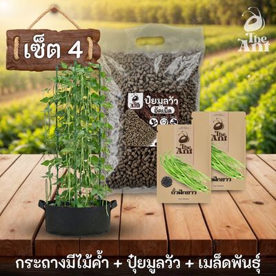 ชุดปลูกถั่วฝักยาวพรีเมี่ยม  กระถางผ้าพร้อมไม้ค้ำสำเร็จรูป + ปุ๋ยมูลวัวอัดเม็ด 1 กก. + เมล็ดพันธุ์ 2 ซอง