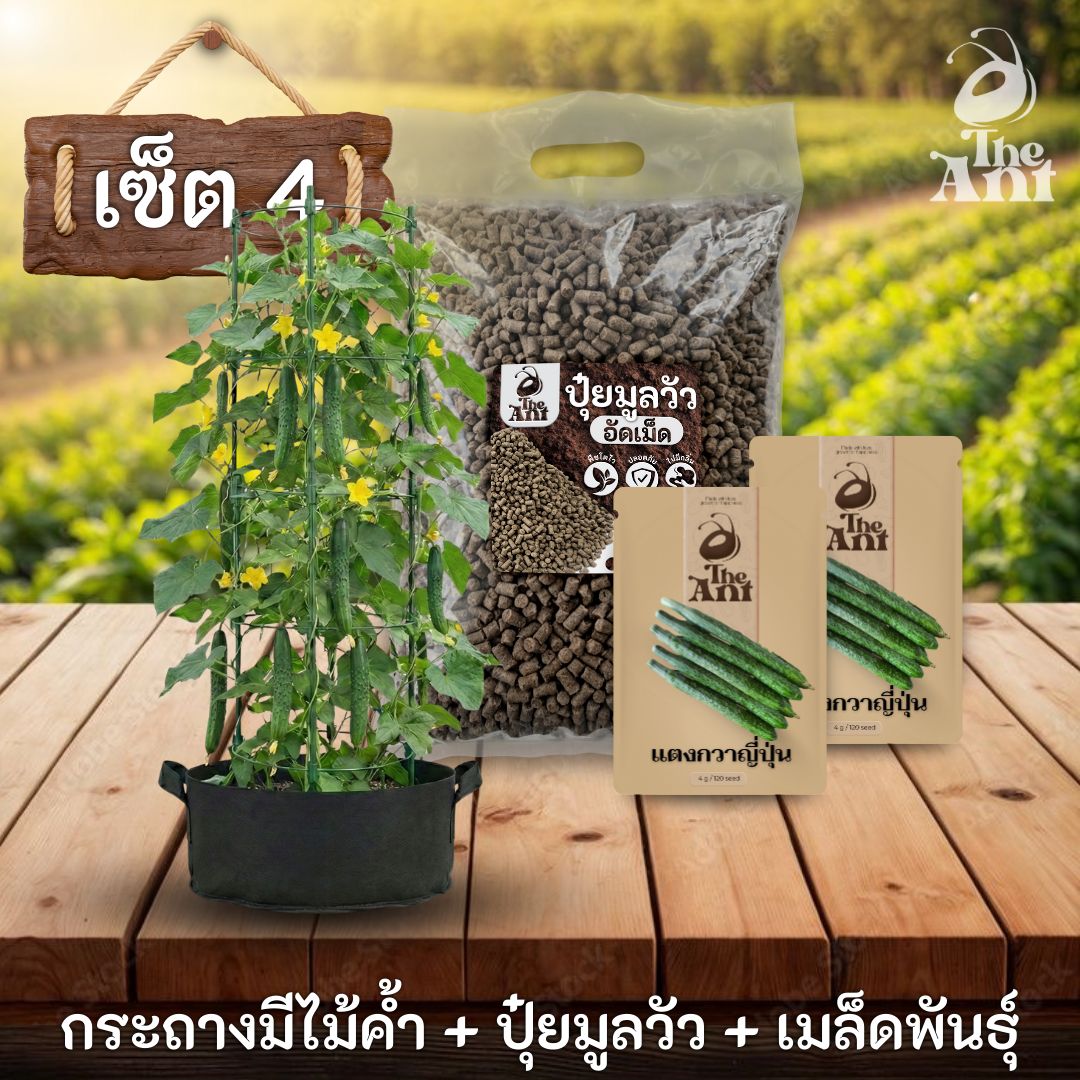 ชุดปลูกแตงกวาญี่ปุ่นพรีเมี่ยม  กระถางผ้าพร้อมไม้ค้ำสำเร็จรูป + ปุ๋ยมูลวัวอัดเม็ด 1 กก. + เมล็ดพันธุ์ 2 ซอง
