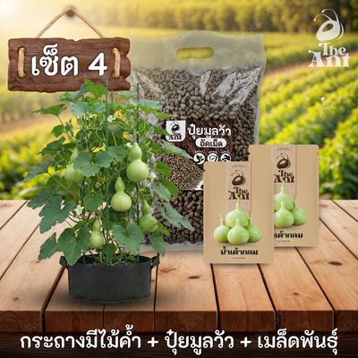 ชุดปลูกน้ำเต้ากลมพรีเมี่ยม  กระถางผ้าพร้อมไม้ค้ำสำเร็จรูป + ปุ๋ยมูลวัวอัดเม็ด 1 กก. + เมล็ดพันธุ์ 2 ซอง