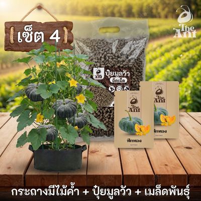 ชุดปลูกฟักทองพรีเมี่ยม  กระถางผ้าพร้อมไม้ค้ำสำเร็จรูป + ปุ๋ยมูลวัวอัดเม็ด 1 กก. + เมล็ดพันธุ์ 2 ซอง