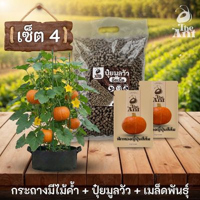 ชุดปลูกฟักทองญี่ปุ่นสีส้มพรีเมี่ยม  กระถางผ้าพร้อมไม้ค้ำสำเร็จรูป + ปุ๋ยมูลวัวอัดเม็ด 1 กก. + เมล็ดพันธุ์ 2 ซอง