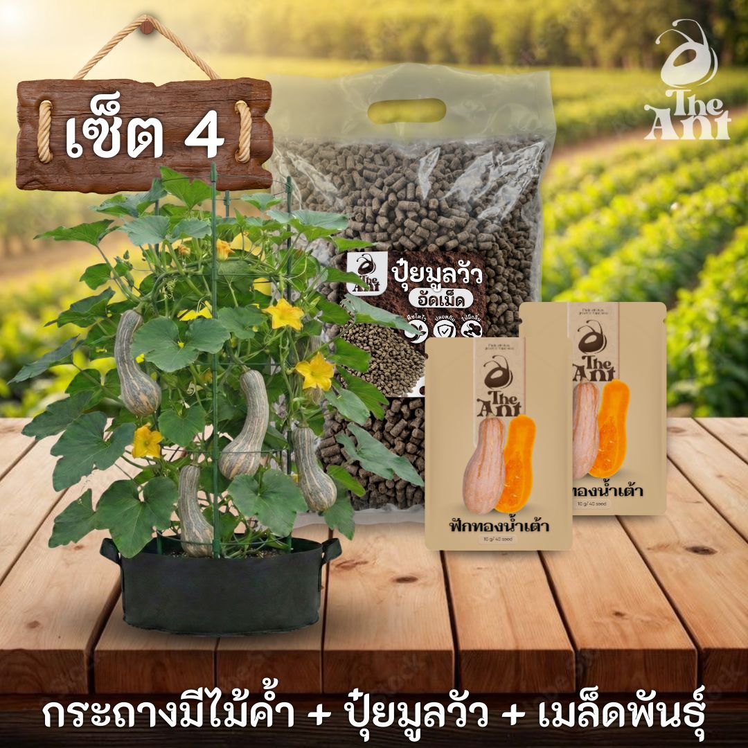 ชุดปลูกฟักทองน้ำเต้าพรีเมี่ยม  กระถางผ้าพร้อมไม้ค้ำสำเร็จรูป + ปุ๋ยมูลวัวอัดเม็ด 1 กก. + เมล็ดพันธุ์ 2 ซอง