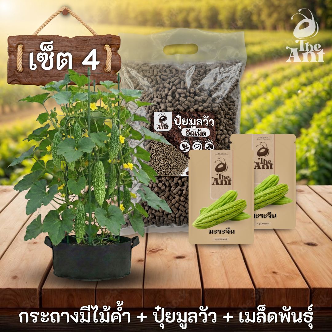 ชุดปลูกมะระจีนพรีเมี่ยม  กระถางผ้าพร้อมไม้ค้ำสำเร็จรูป + ปุ๋ยมูลวัวอัดเม็ด 1 กก. + เมล็ดพันธุ์ 2 ซอง