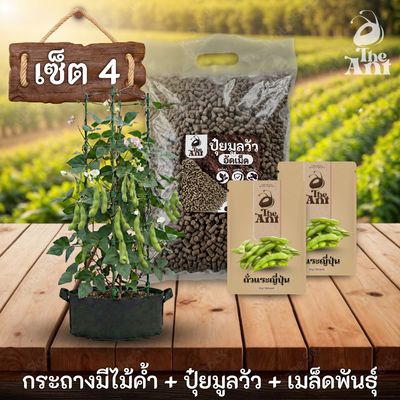 ชุดปลูกถั่วแระญี่ปุ่นพรีเมี่ยม  กระถางผ้าพร้อมไม้ค้ำสำเร็จรูป + ปุ๋ยมูลวัวอัดเม็ด 1 กก. + เมล็ดพันธุ์ 2 ซอง
