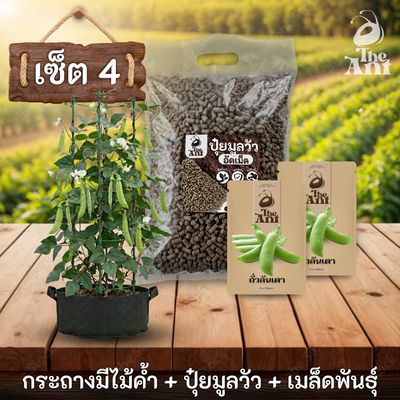 ชุดปลูกถั่วลันเตาพรีเมี่ยม  กระถางผ้าพร้อมไม้ค้ำสำเร็จรูป + ปุ๋ยมูลวัวอัดเม็ด 1 กก. + เมล็ดพันธุ์ 2 ซอง