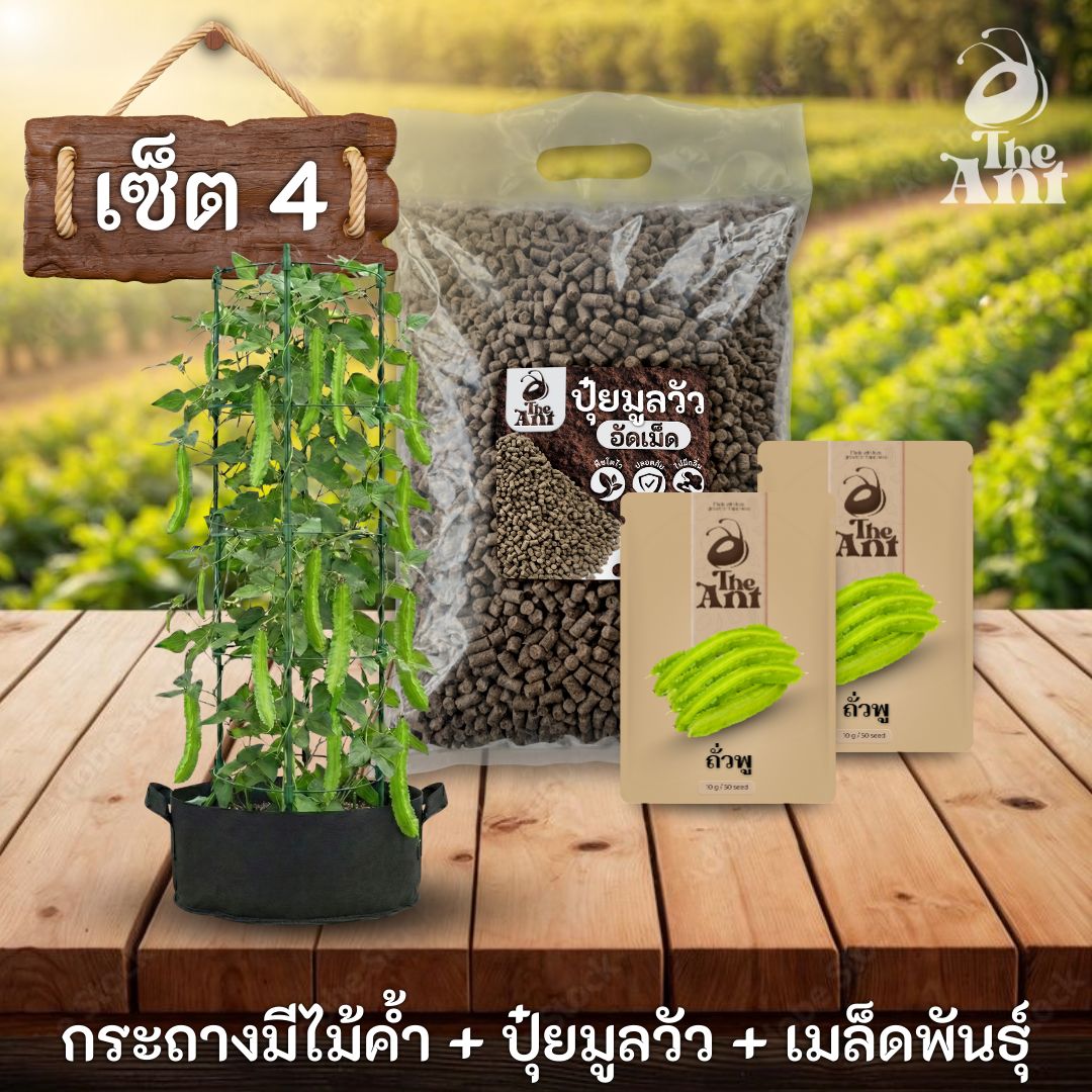 ชุดปลูกถั่วพูพรีเมี่ยม  กระถางผ้าพร้อมไม้ค้ำสำเร็จรูป + ปุ๋ยมูลวัวอัดเม็ด 1 กก. + เมล็ดพันธุ์ 2 ซอง