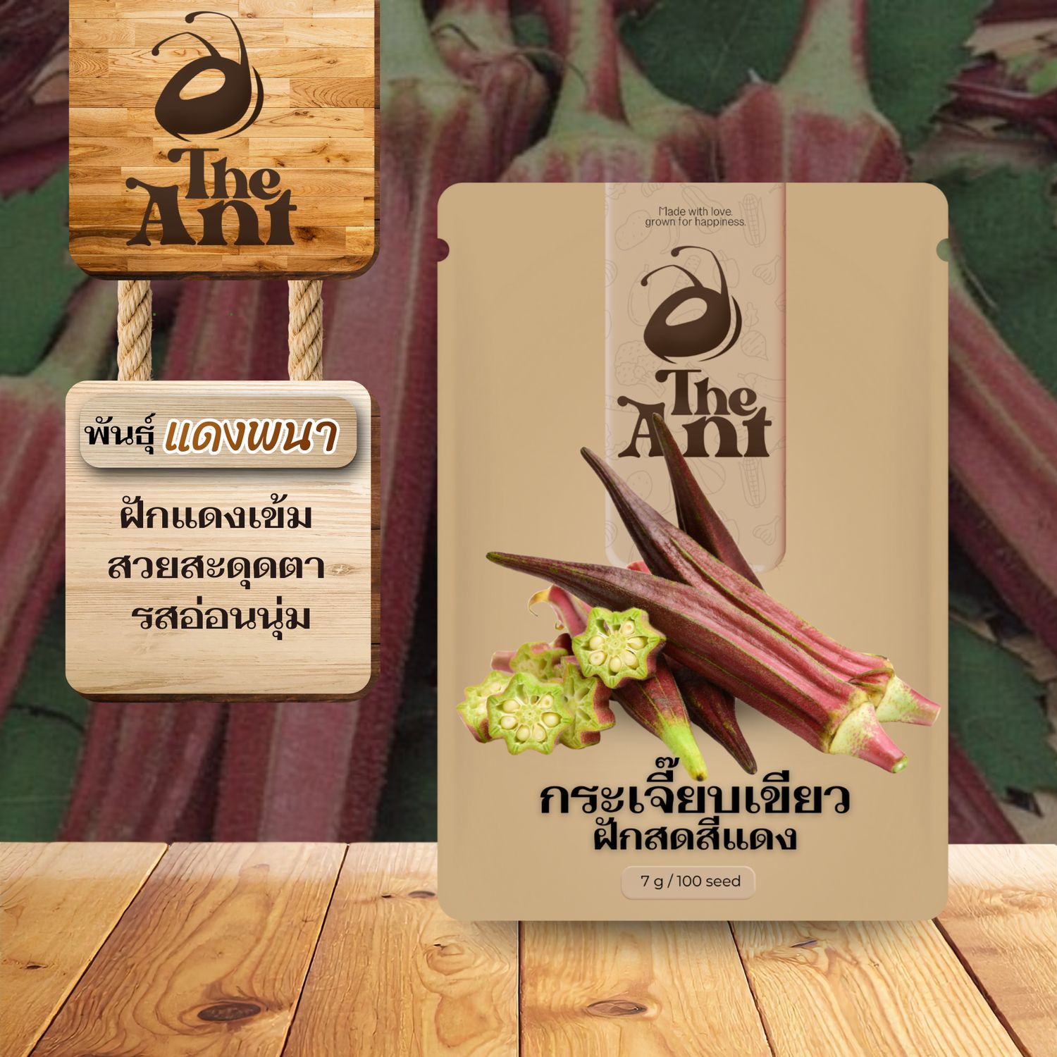 เมล็ดพันธุ์กระเจี๊ยบเขียวฝักสดสีแดง 