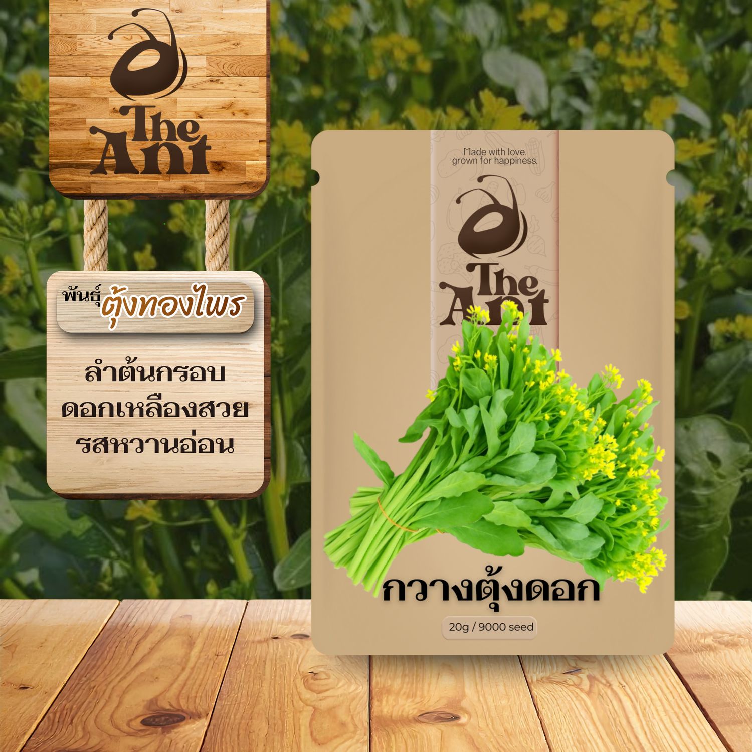 เมล็ดพันธุ์กวางตุ้งดอก