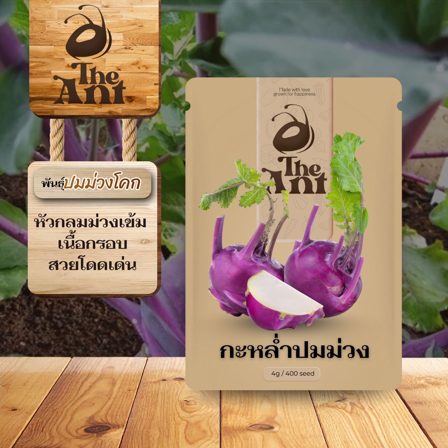 เมล็ดพันธุ์กะหล่ำปมม่วง ปมม่วงโคก