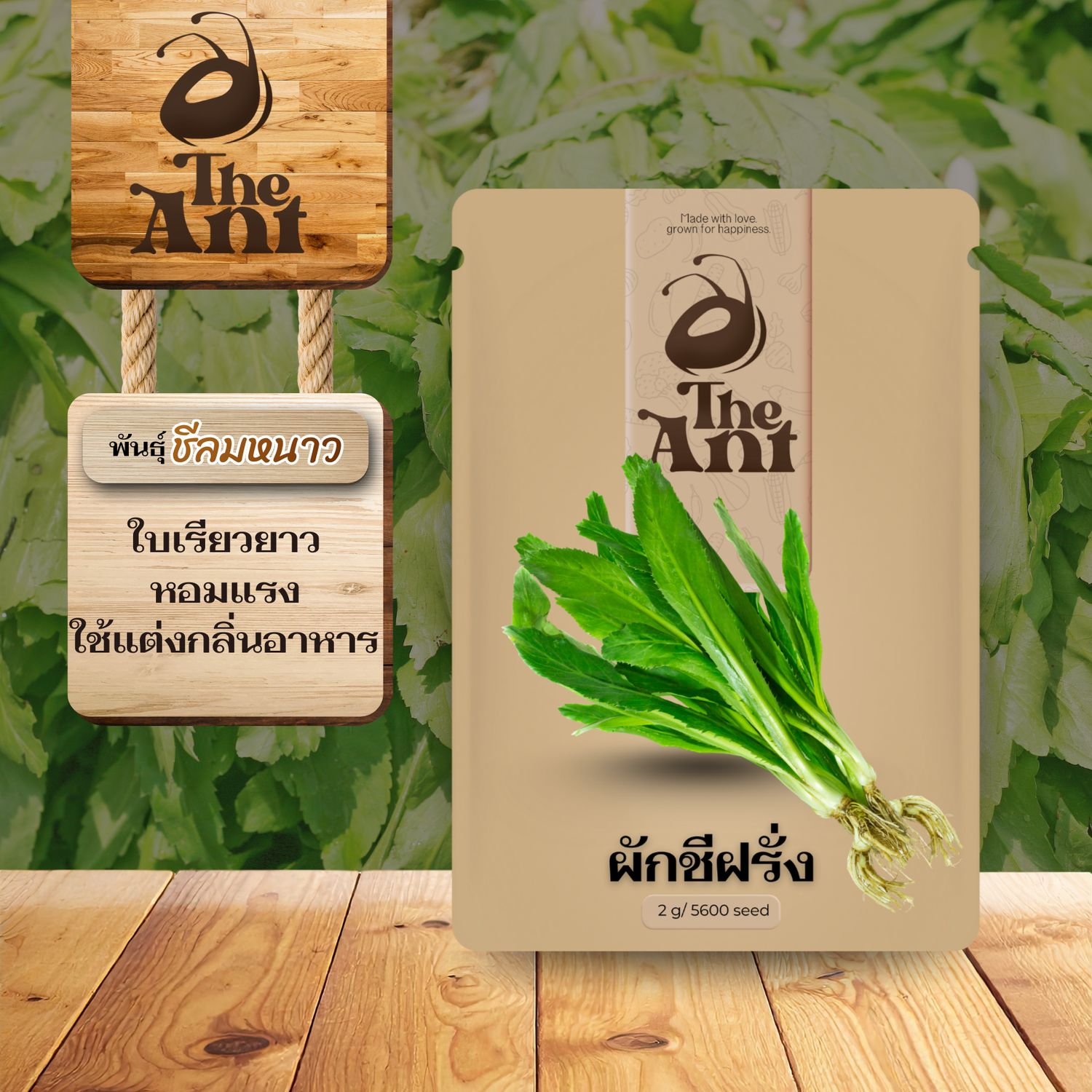 เมล็ดพันธุ์ผักชีฝรั่ง ชีลมหนาว