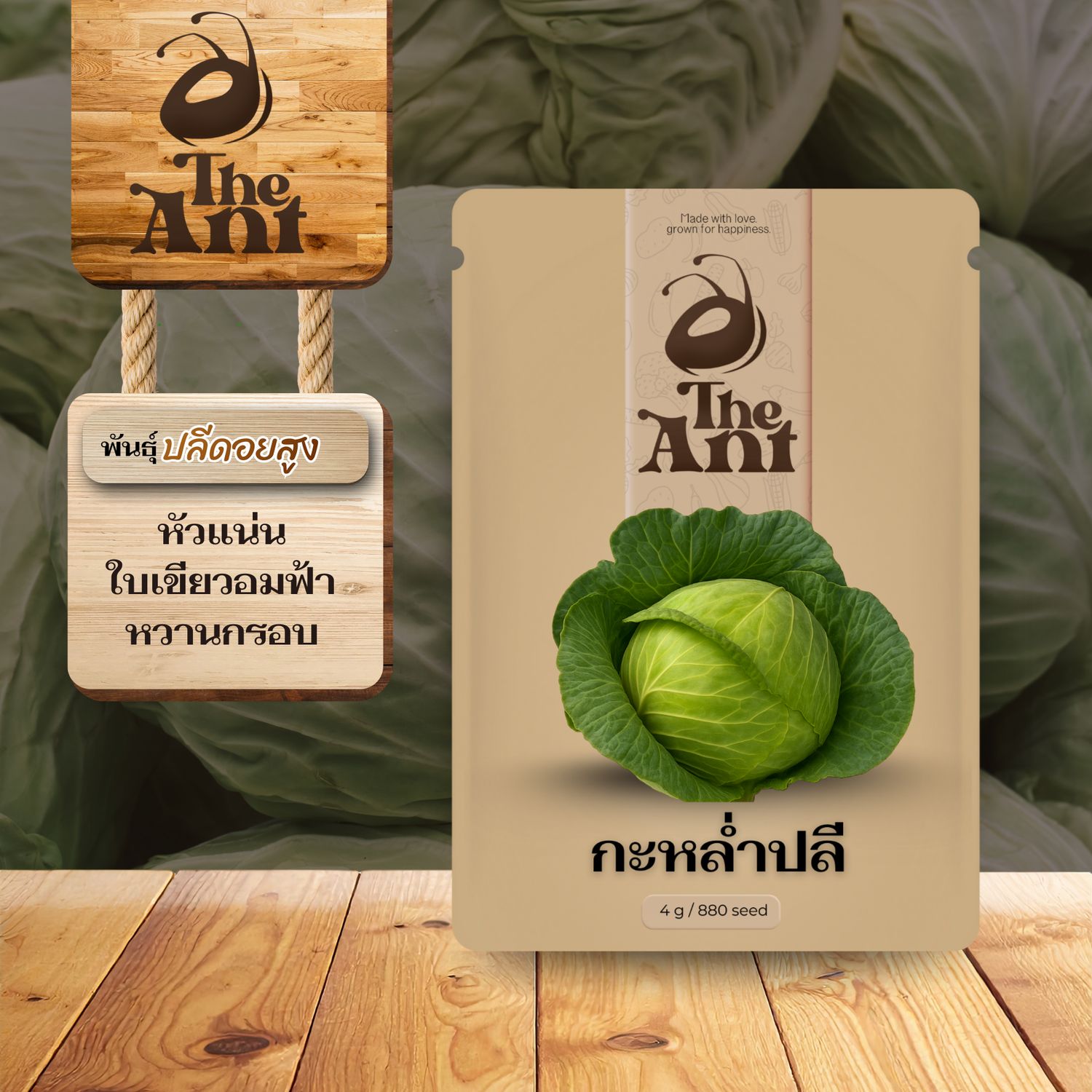 เมล็ดพันธุ์กะหล่ำปลี ปลีดอยสูง