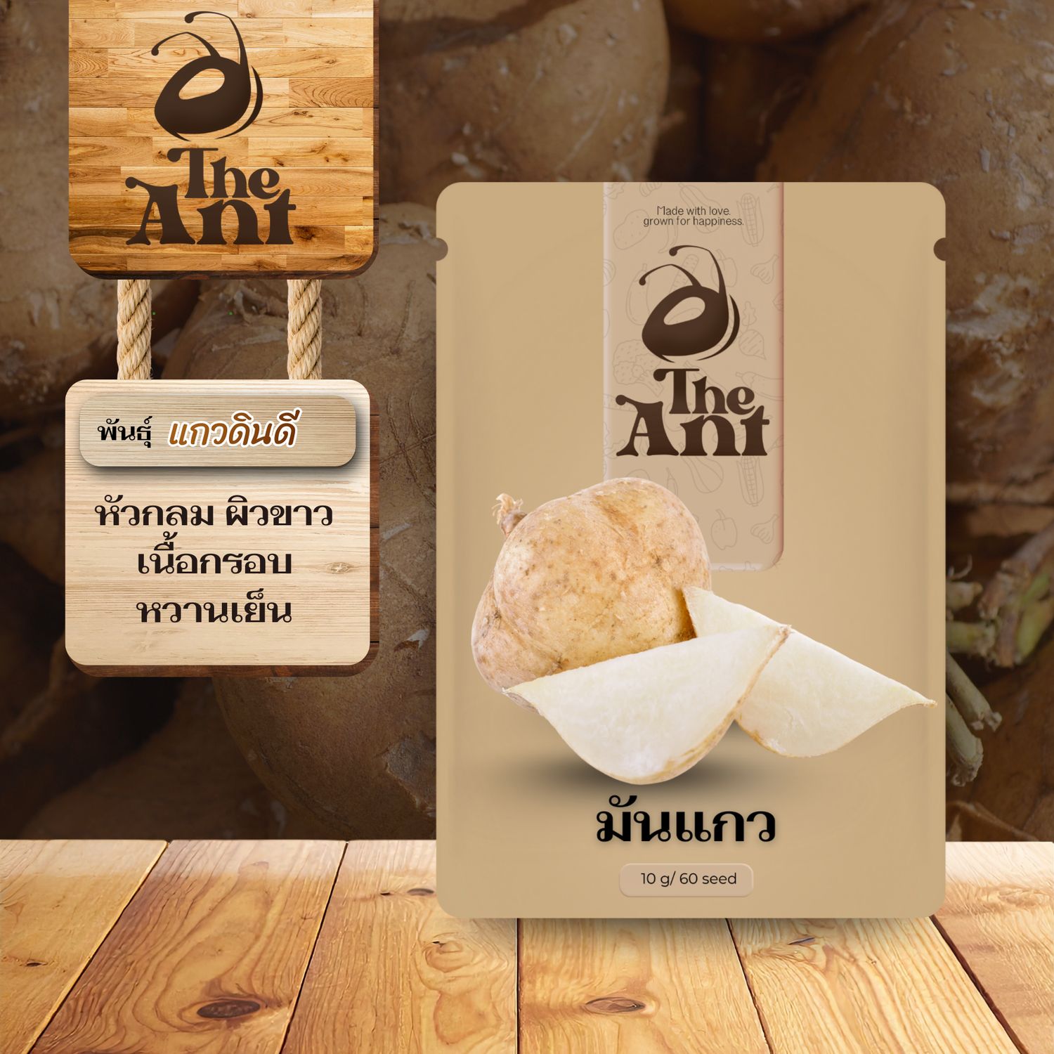 เมล็ดพันธุ์มันแกว แกวดินดี