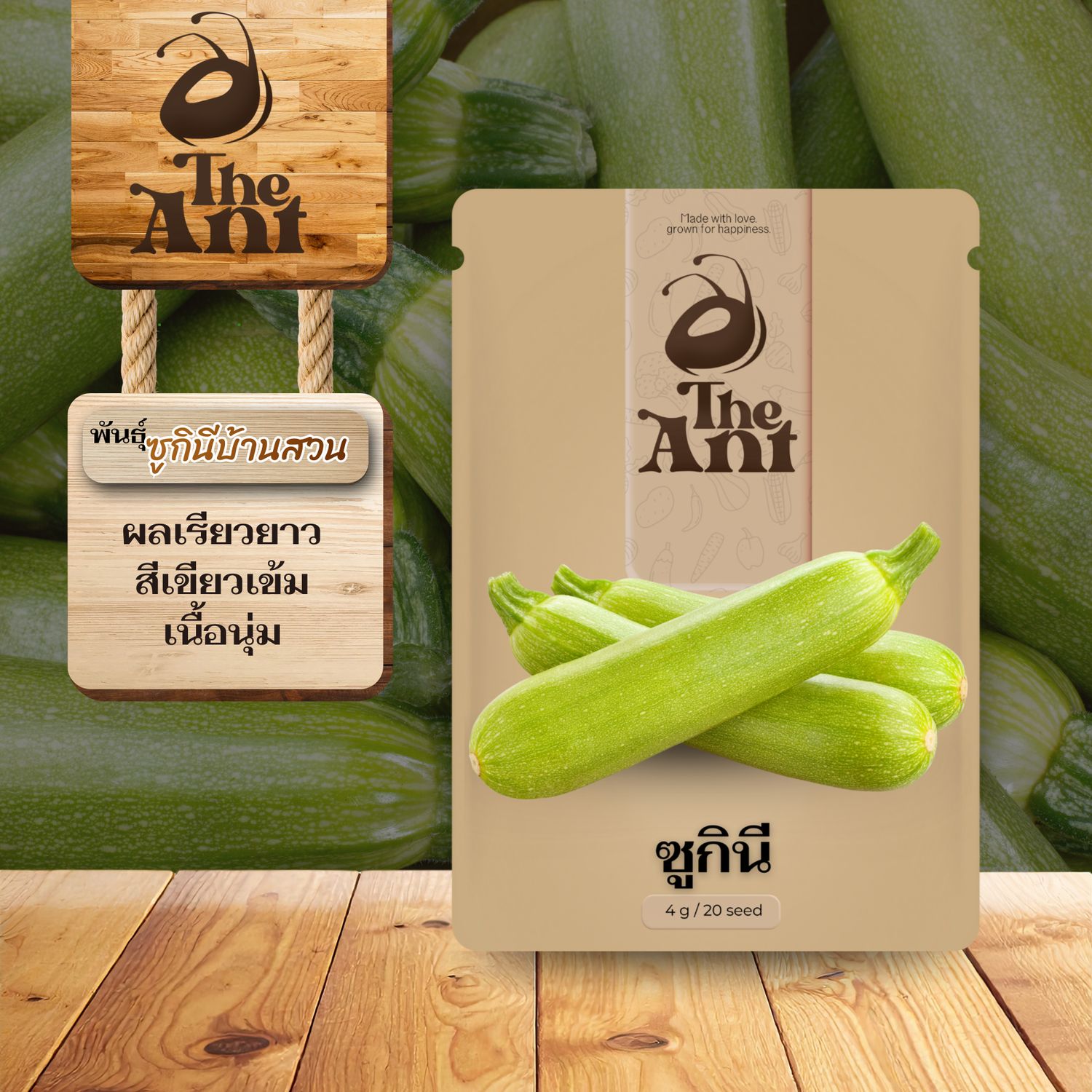 เมล็ดพันธุ์ซูกินี ซูกินีบ้านสวน