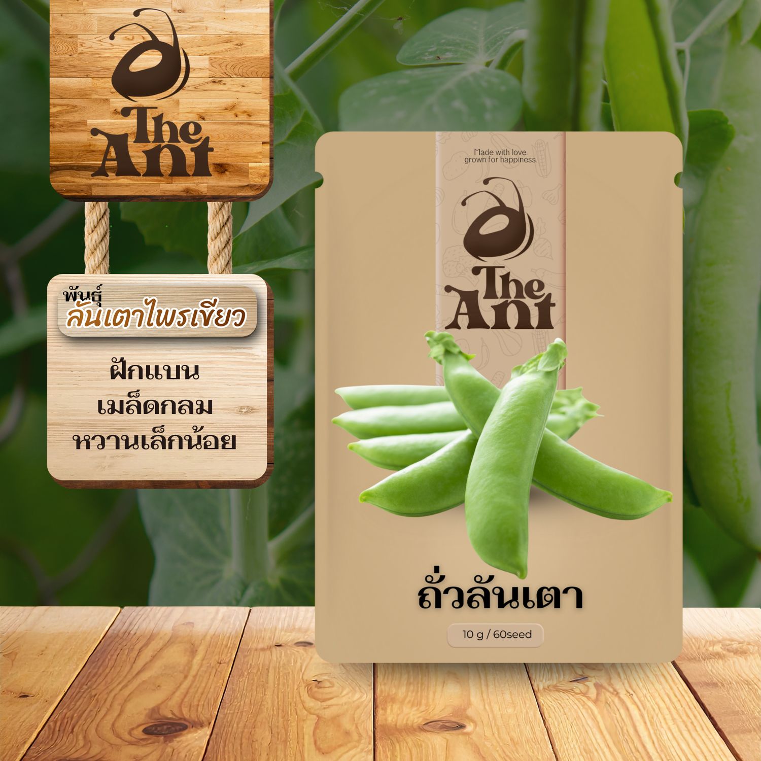 ถั่วลันเตาหวาน  ลันเตาไพรเขียว