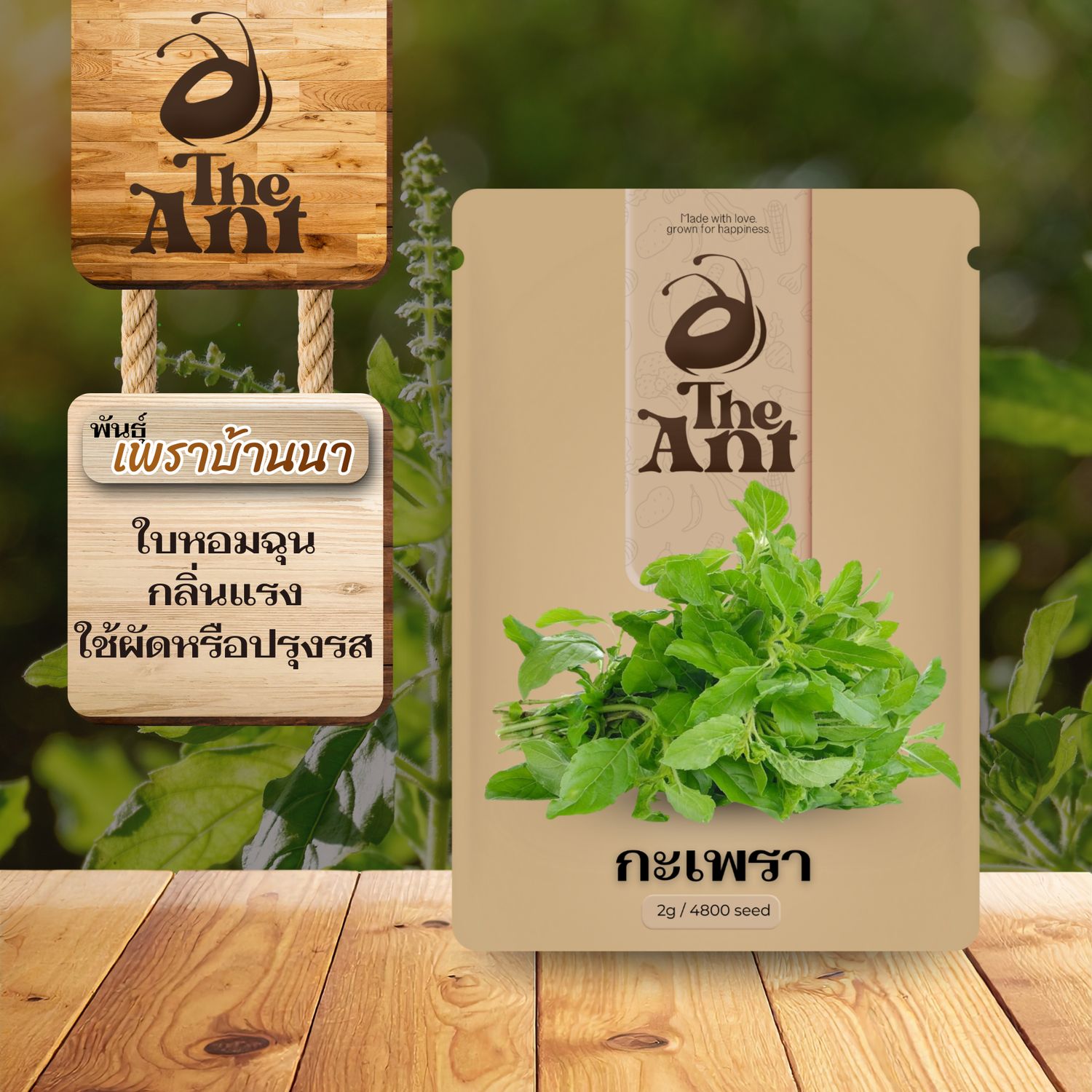 เมล็ดพันธุ์กะเพรา เพชรบ้านนา