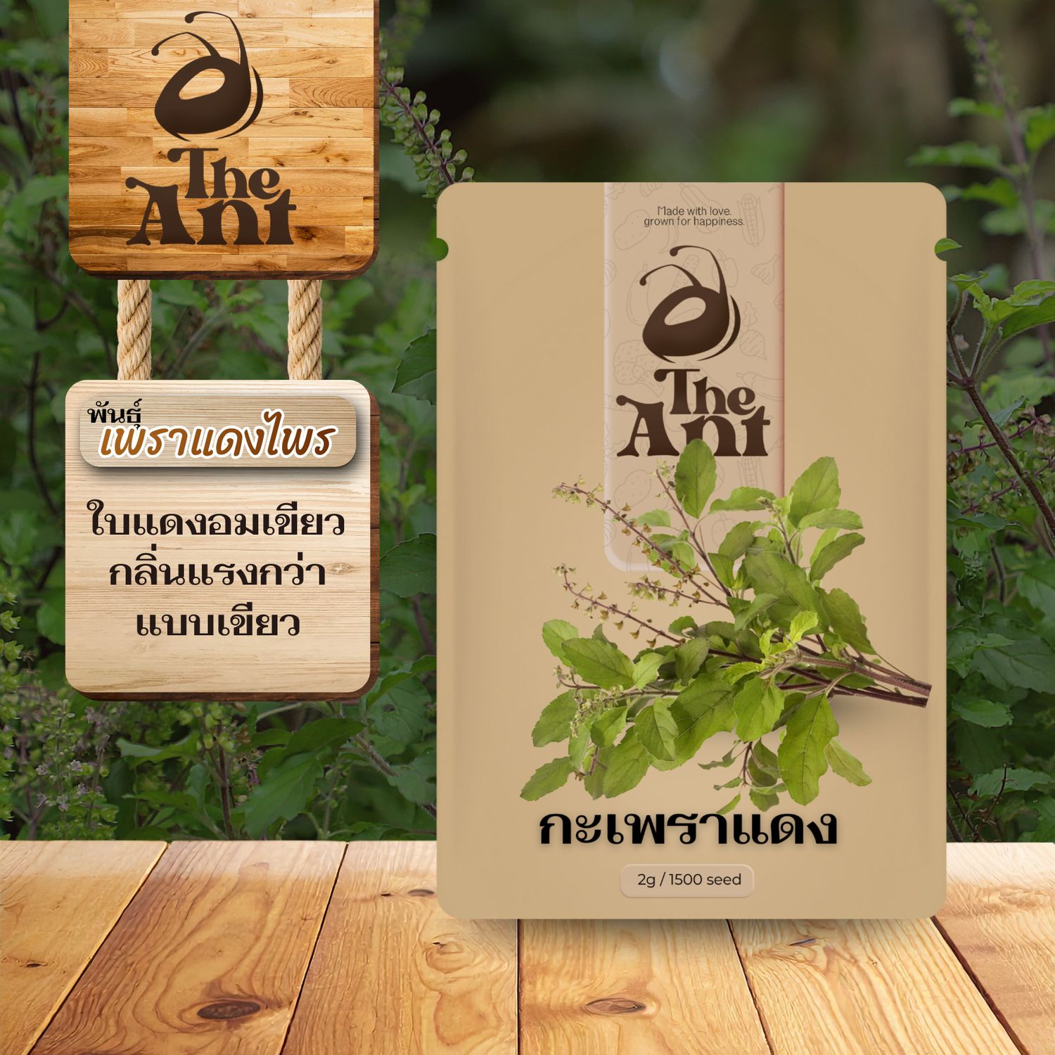 เมล็ดพันธุ์กะเพราแดง เพราแดงไพร