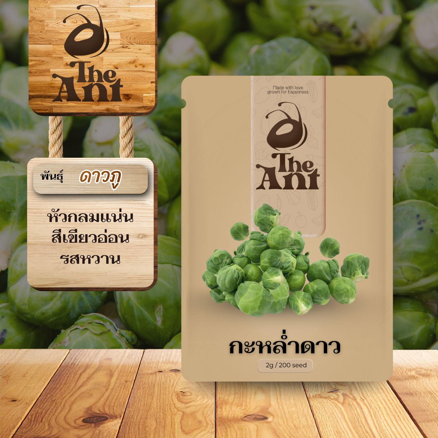 เมล็ดพันธุ์กะหล่ำดาว พันธุ์ดาวขาวภู