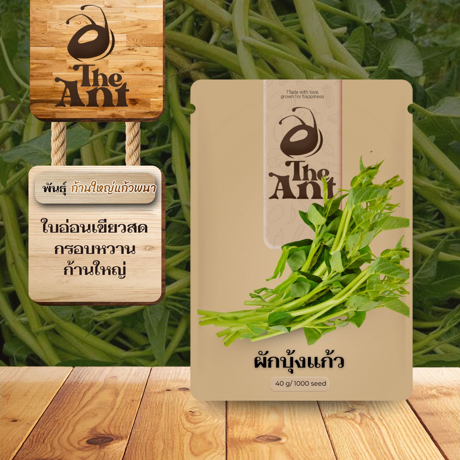 เมล็ดพันธุ์ผักบุ้งแก้ว