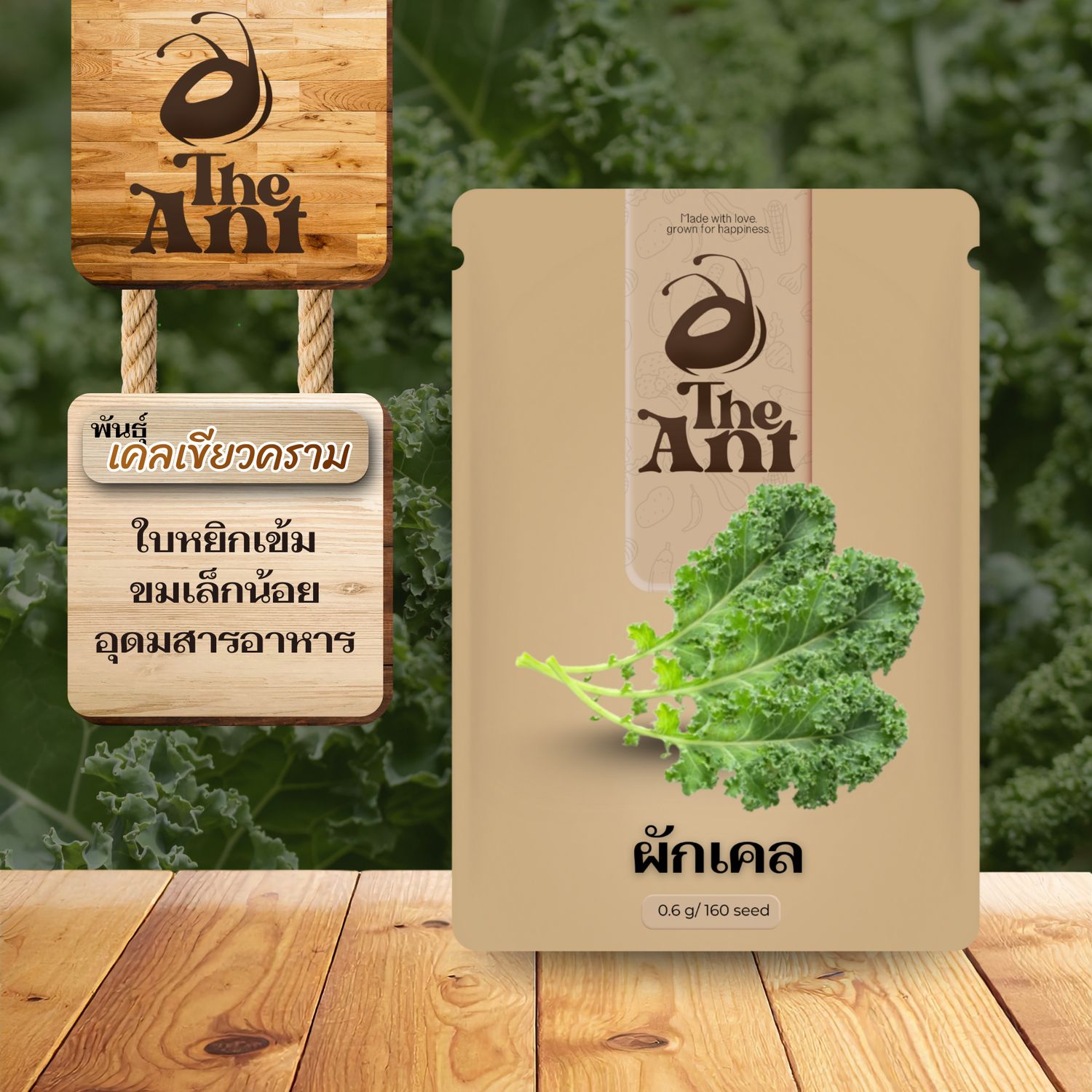 เมล็ดพันธุ์ผักเคล เคลเขียวคราม