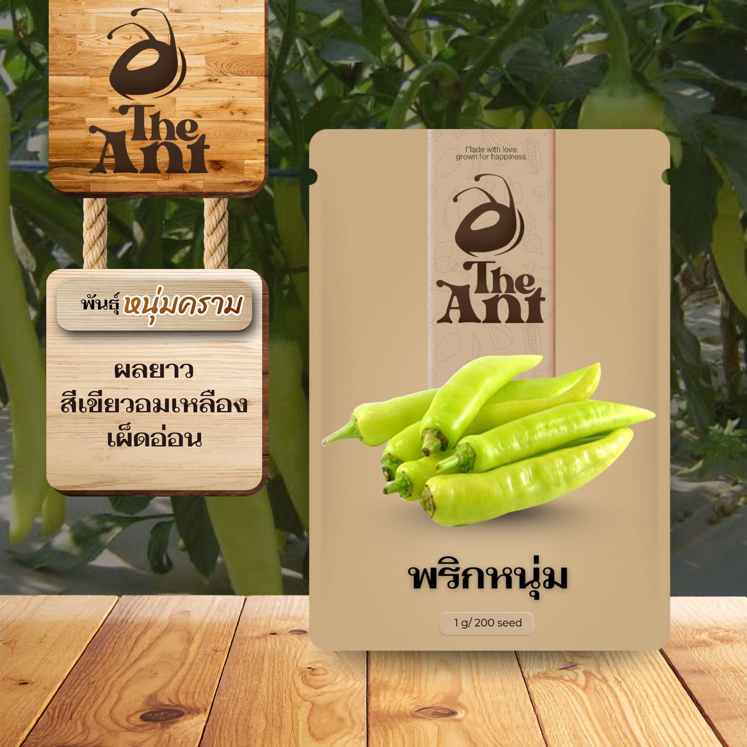 เมล็ดพันธุ์พริกหนุ่ม