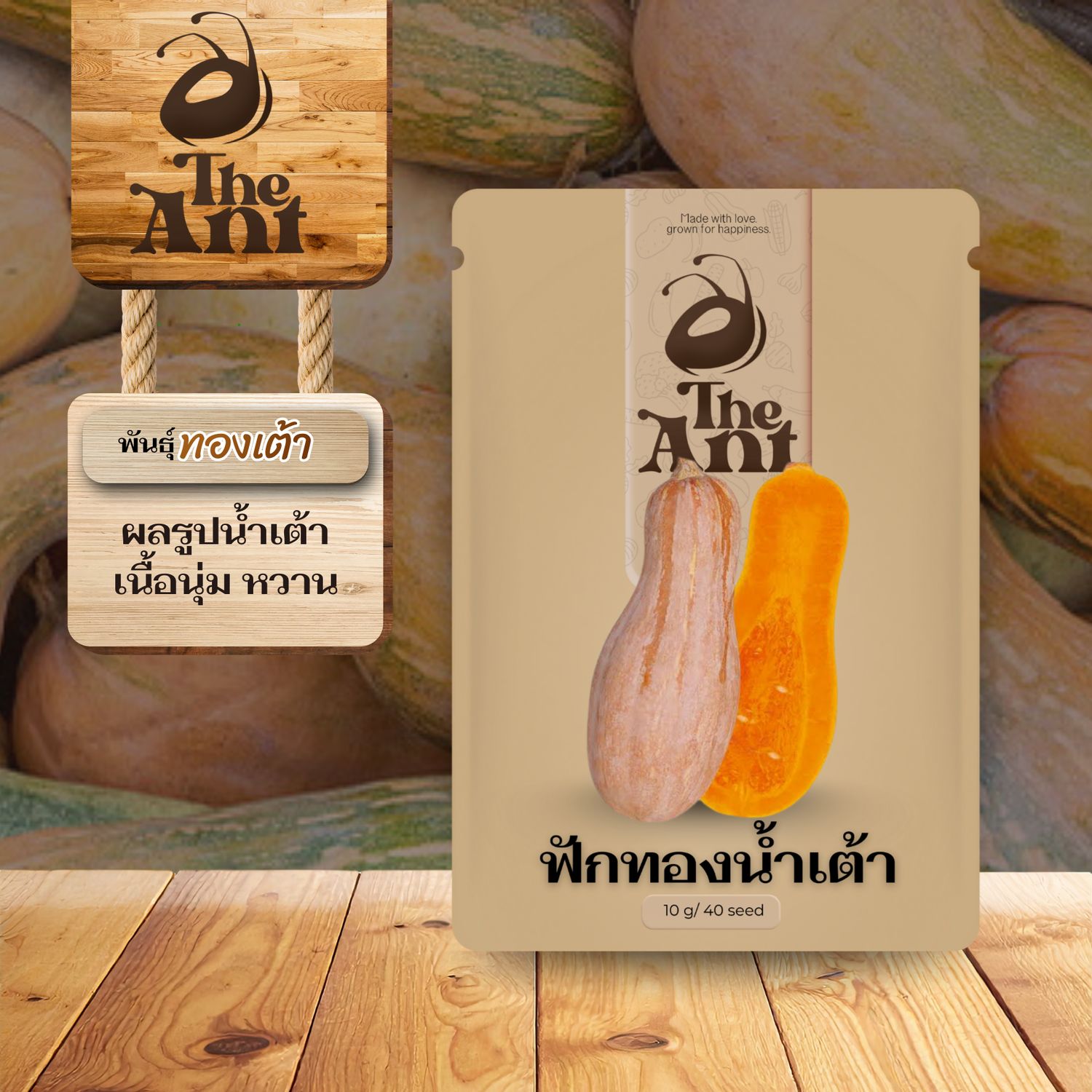 เมล็ดพันธุ์ฟักทองน้ำเต้า พันธุ์ทองเต้า