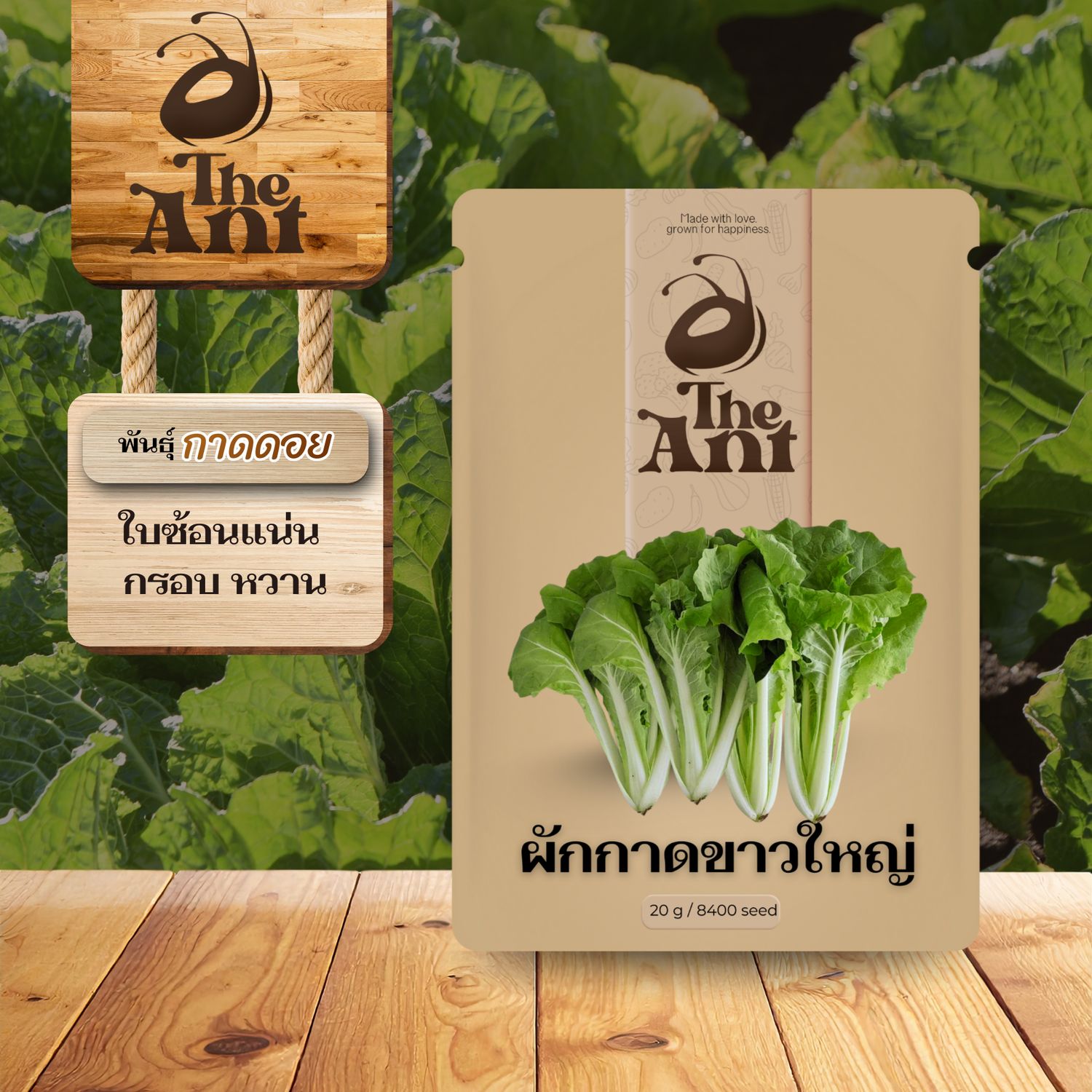 เมล็ดพันธุ์ผักกาดขาวใหญ่