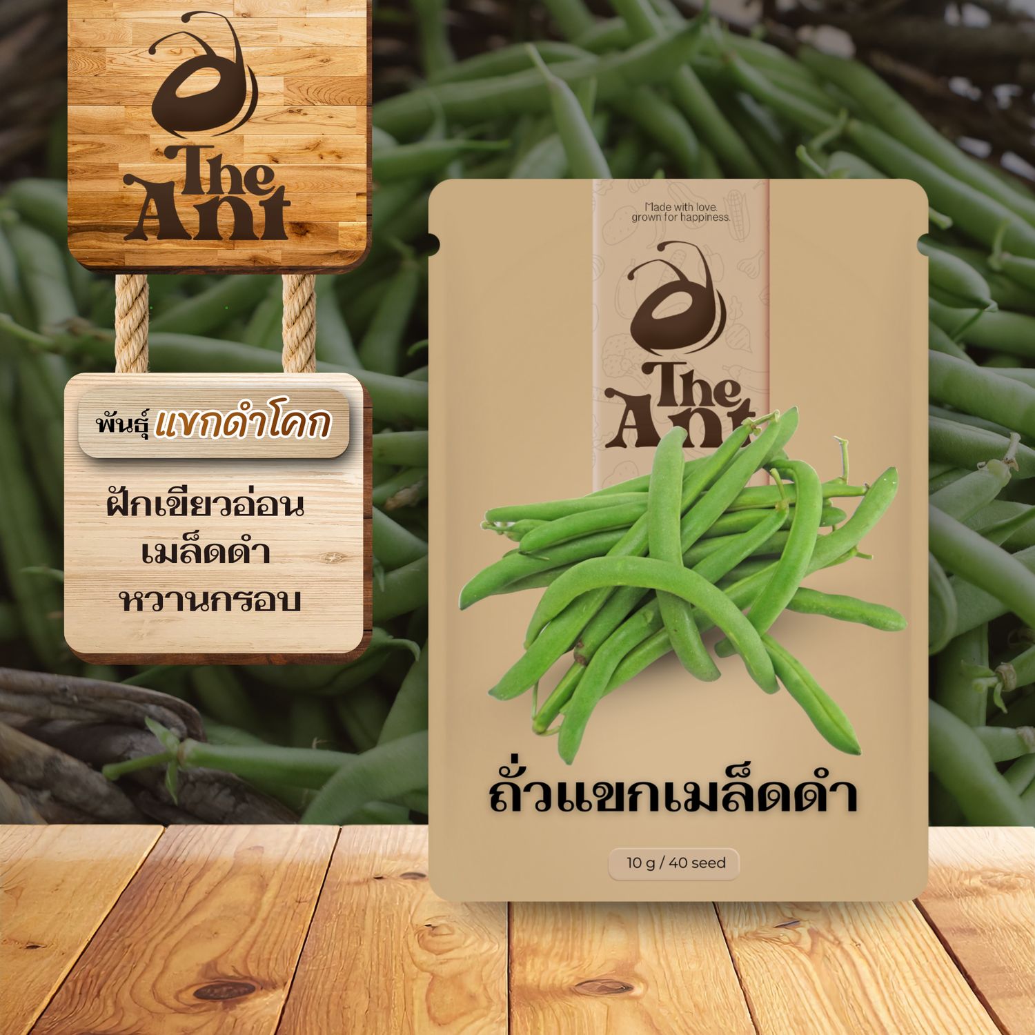 เมล็ดพันธุ์ถั่วแขกดำ แขกดำโคก
