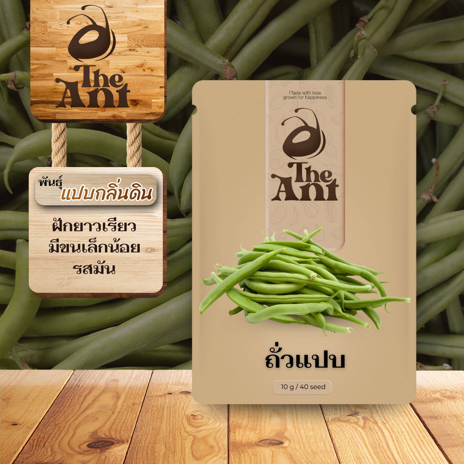 เมล็ดพันธุ์ถั่วแปบ แปบกลิ่นดิน