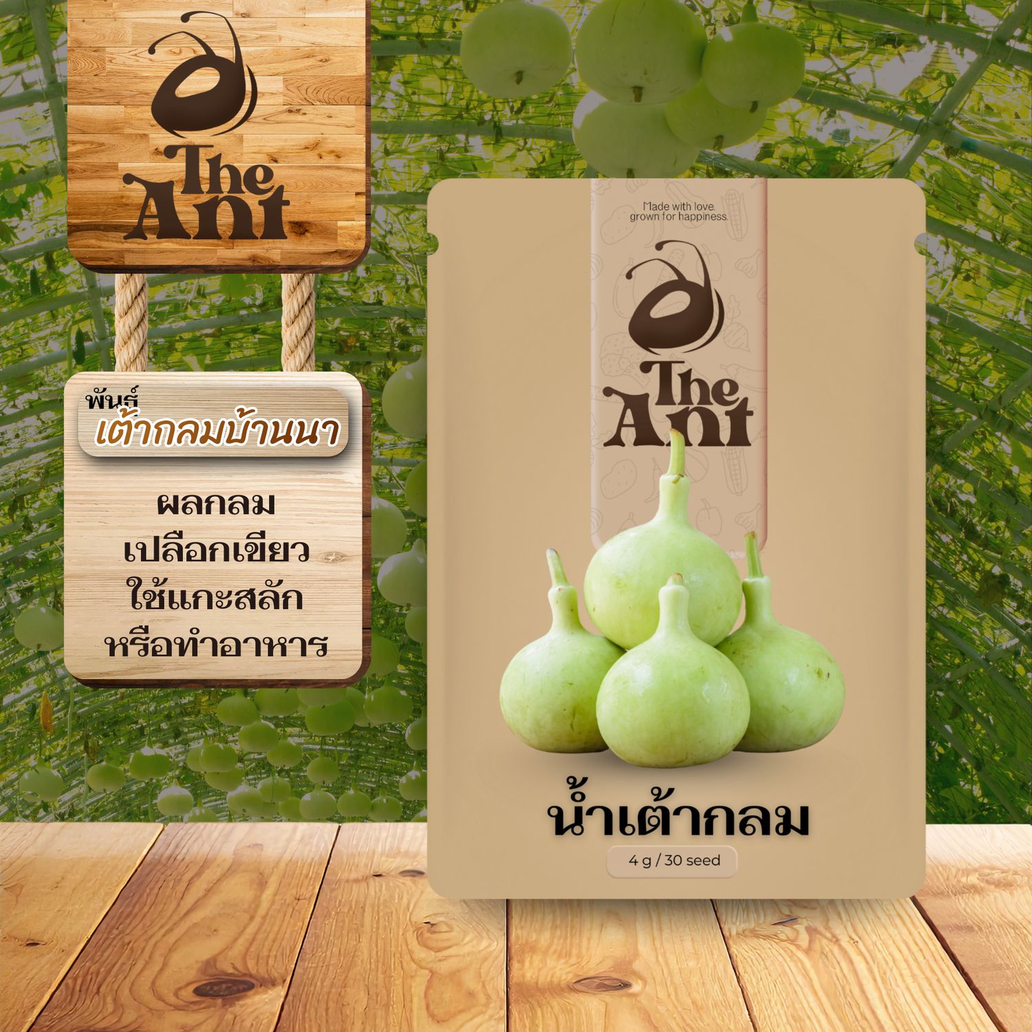 เมล็ดพันธุ์น้ำเต้ากลม เต้ากลมบ้านนา