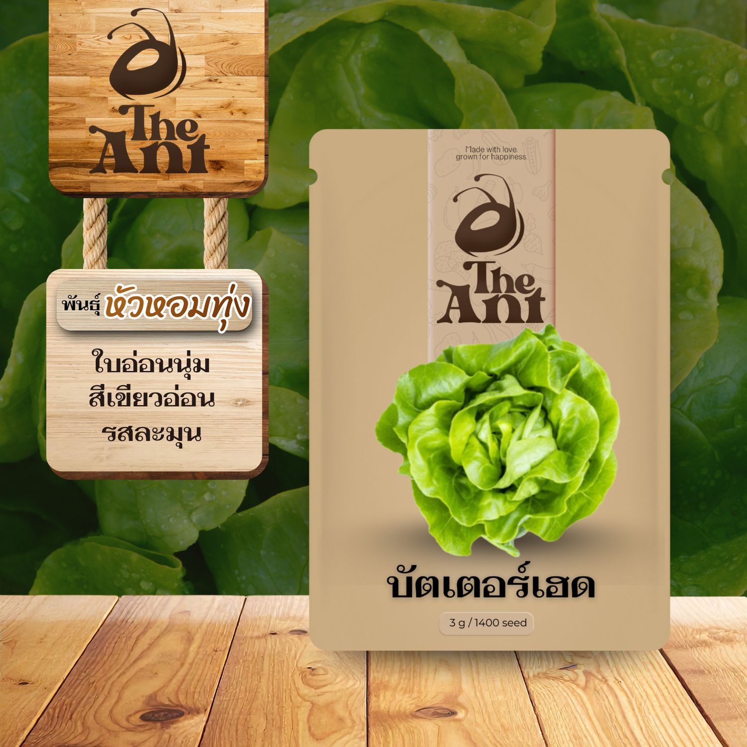 เมล็ดพันธุ์บัตเตอร์เฮด หัวหอมทุ่ง