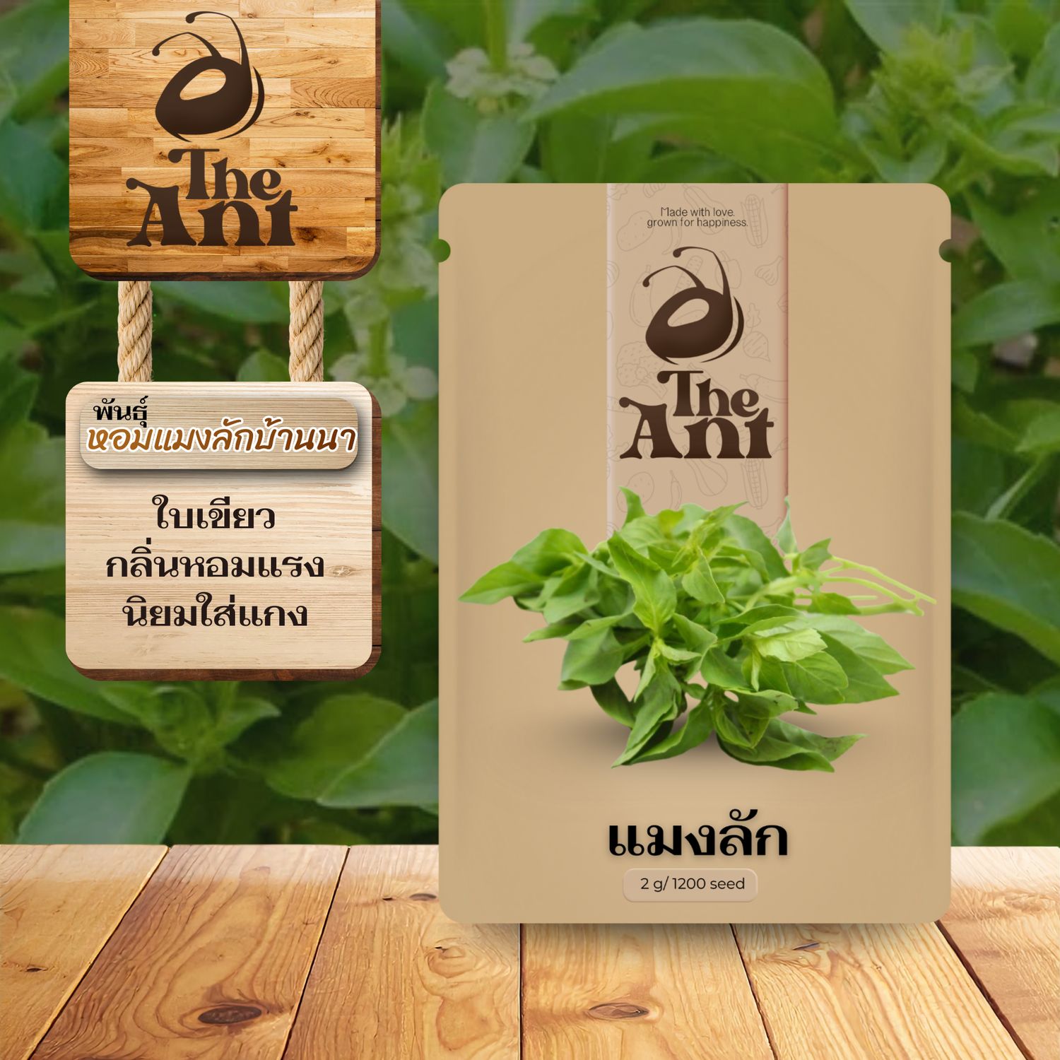 เมล็ดพันธุ์แมงลัก หอมแมงลักบ้านนา