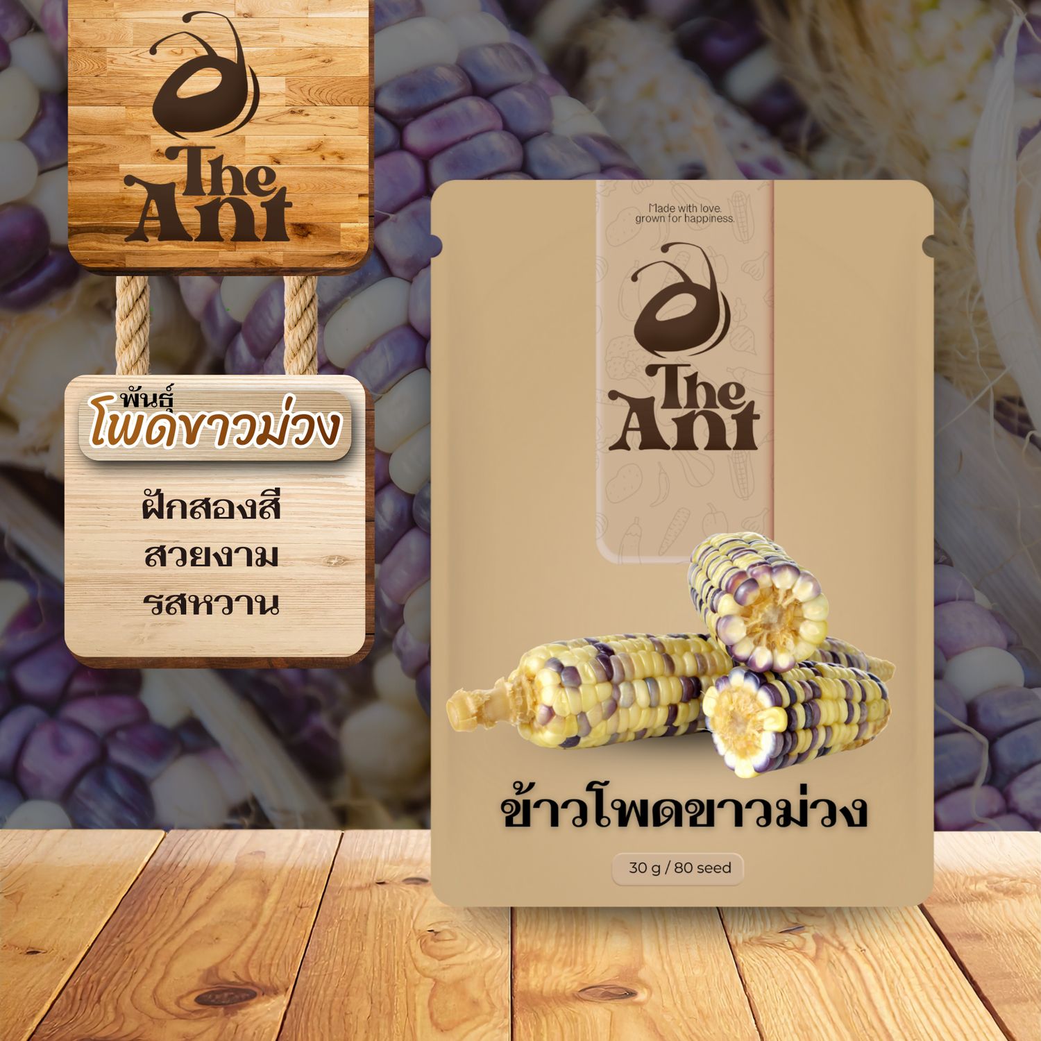 เมล็ดพันธุ์ข้าวโพดขาวม่วง โพดขาวม่วง