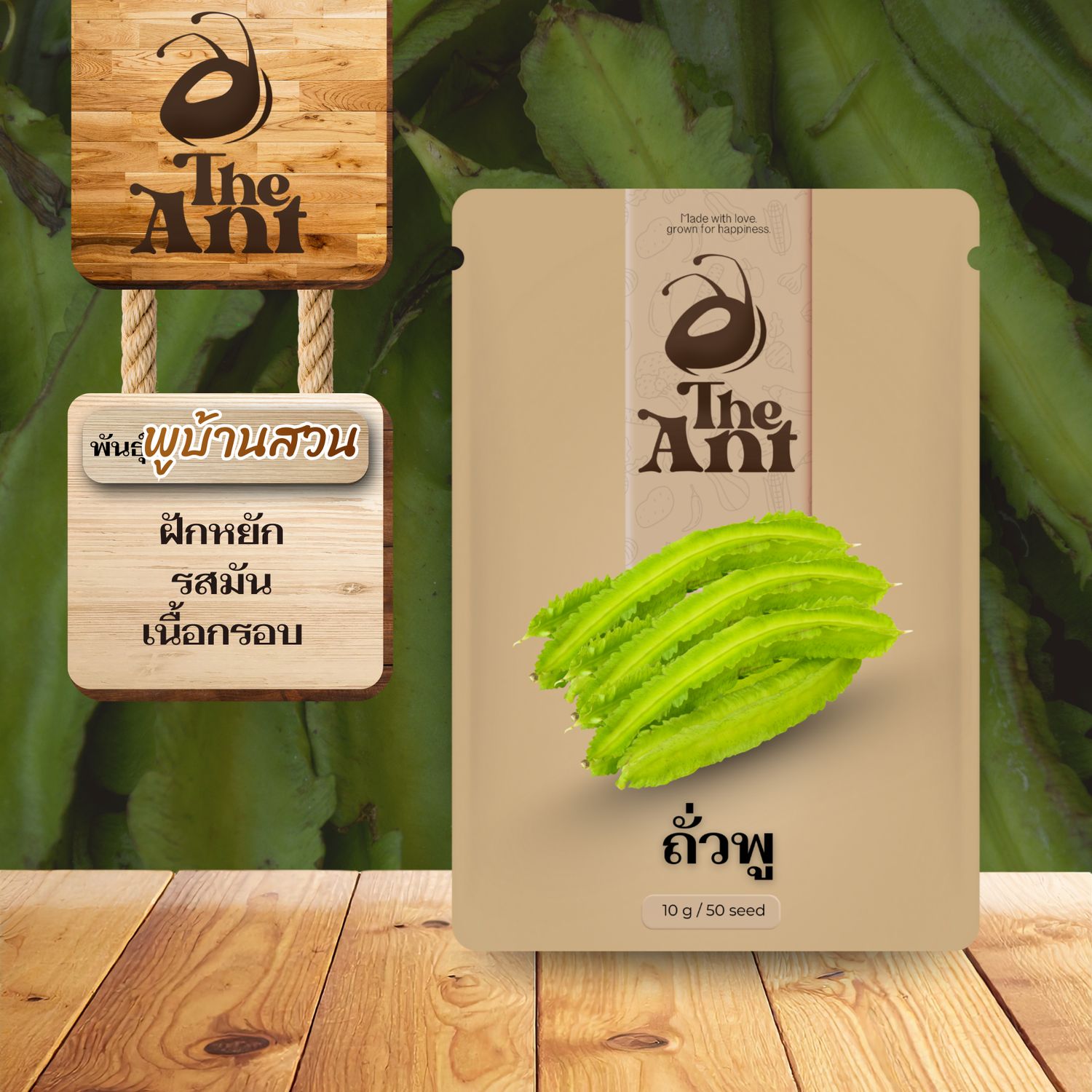 เมล็ดพันธุ์ถั่วพู พูบ้านสวน