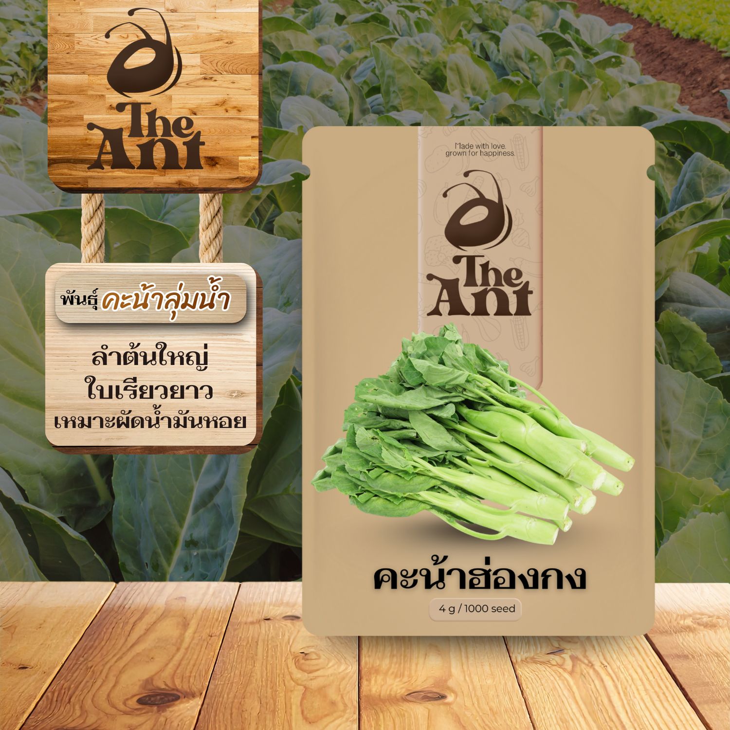 เมล็ดพันธุ์คะน้าฮ่องกง